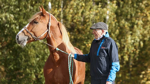 Olli-Pekka Hämäläinen ja Sipisee ovat pitäneet yhtä jo oriin syntymästä alkaen. Uran 85 startista 17 on päättynyt voittoon, ja tulevana lauantaina Kouvolassa on haussa yksi täysosuma lisää.