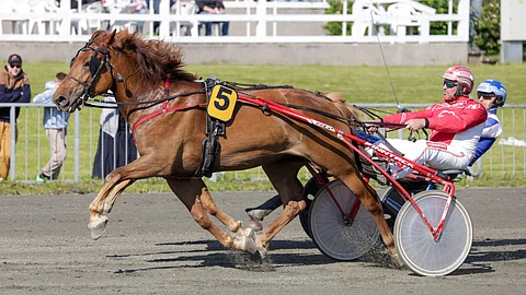 ”Suomenhevosella on sielu. Se puhuu samaa kieltä kuin me suomalaiset. Jokainen suomenhevonen on oma persoonansa ja niiltä saa niin paljon”, Mari Rautiainen kuvailee.
