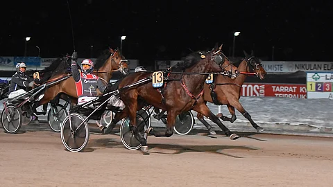 Millie de Veluwe, Mauri Jaara