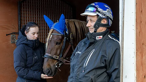 Petri Laine on raviharrastaja Orivedeltä, jonka tunnetuin valmennettava on ikäluokkatähti ja ravikuningas Parvelan Retu. Kasvattanut Siirin-hevosia. Tytär Ida Laine on sisaruksista vanhin, ja hän työskentelee Parvelan Hevostilalla. Hän on myös Parvelan hevosten oriinpitäjä. Heppa-järjestelmään Idan hoitohevosiksi on merkitty Siirin Valtsu ja Pörnä-Pate.