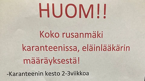 Ruskeasuon tallit karanteenissa herpesvirusepäilyn takia