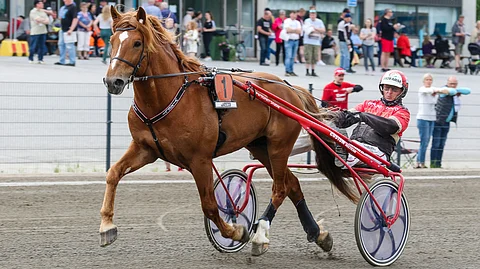 Vixeli, Tapio Perttunen