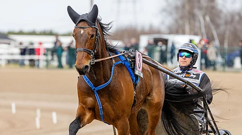 Goodwin Zet ja Antti Ojanperä
