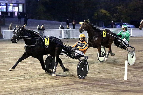 Jarno Kauhasen valmentama Scudetto on avannut uransa voitolla ja kakkossijalla. Lauantaina se kilpailee Esa Holopaisen ohjastamana 2-vuotiaiden oriiden ja ruunien Kasvattajakruunussa.