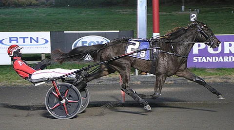 Meadowlandsin ravirata