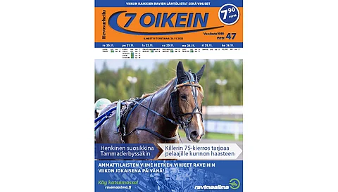 7 oikein -lehdessä julkaistaan Suomen totoravien käsiohjelmasivut vihjeineen ja tallikommentteineen torstaista seuraavaan keskiviikkoon sekä Ruotsin pääpelien käsiohjelmasivut torstaista maanantaihin.