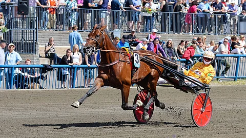 Dundee As, Alessandro Gocciadoro