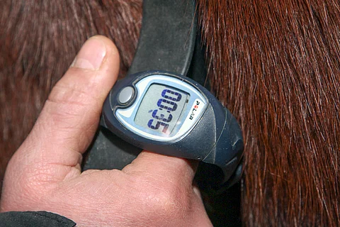 Ravivalmennuksen ydintä luvassa