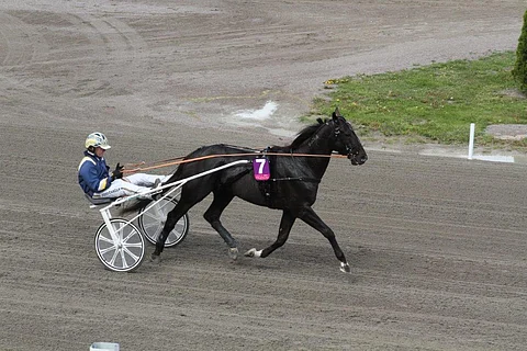 Nuncio ja Stefan Melander sijoittuivat toiseksi ensimmäisessä karsinnassa.
