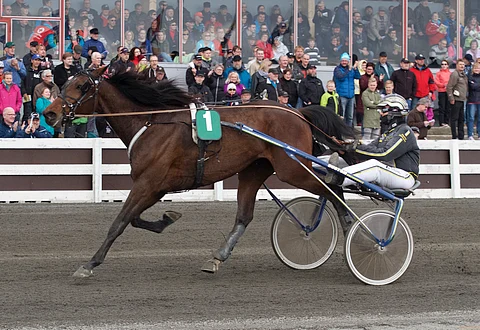 Ruotsalaisvieras Victory Streamline löi Tornion Toto76-kierroksen alkutahdit.