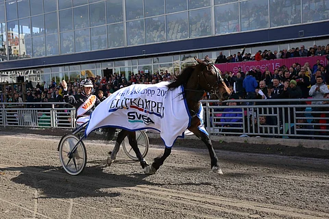 Lannem Silje on jälleen iskussa. Kuva: Totofoto