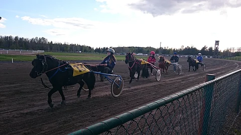 Poneille oli oma lähtö Riihimäen 19.5. harjoitusraveissa.