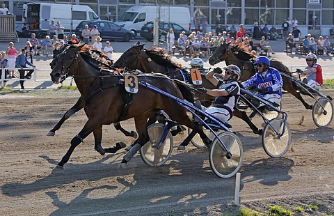 Venice vei voiton Oulussa, tässä tyylinäyte Tammakriteriumista