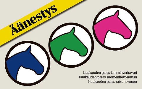 Äänestä marraskuun ratsuhevosta