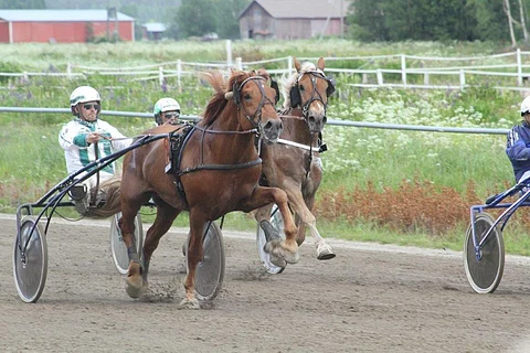 Kauhavan kesäravien yleisö sai nähdä A.T.Viskun ja Juha Länsimäen loppusuoran näytöksen
