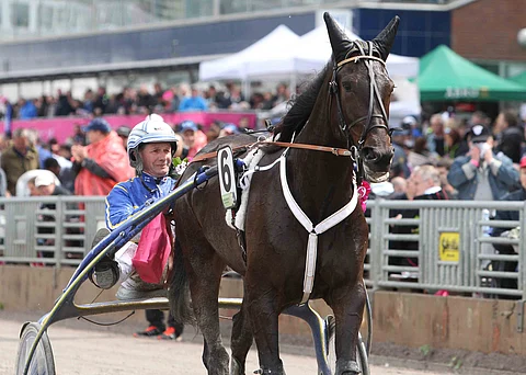 Sukutamma Tough Cookie nähdään E3-finaalissa.