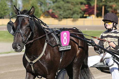 Kålmans Polly ja Fanny Suomela Härmän ponikuninkuusraveissa 2014.
