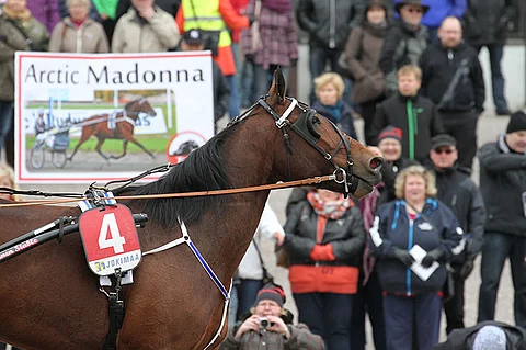 Raviliigavarsa Arctic Madonna tavoittelee E3:ssa suuria seteleitä.