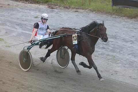 Iikka Nurmosella oli aikaa ihailla Lieksan täyttä katsomoa