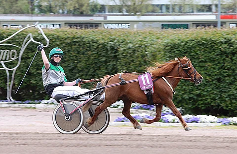 Pomona II voitti myös Vermon poniraveissa kesäkuun alussa.