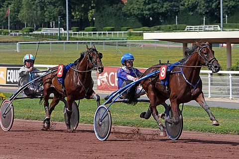 Zola Boko (Goetmals Wood - Big Blue Kitten, Pine Chip) juoksi kaudella 2009 3-vuotiaana 10 kilpailua totosijoin 7-2-1. Enghienissä se voitti heinäkuussa Prix Henri Cravoisierin Jos Verbeeckin ajamana ajalla 13,0a. Ennätyksensä 11,6a/2100 metriä ori ravasi syyskuussa Vincennesuissä. Kuva: Gerard Forni.