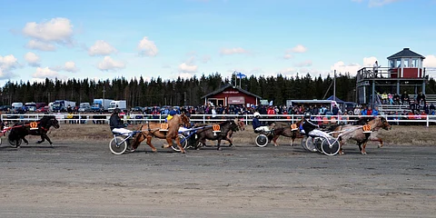 Eurajoen paikallisravit aloitettiin myös viime kesänä ponilähdöllä.
