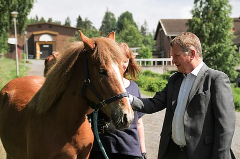 Sauli Niinistön omistama Ypäjä Juulia on seurattu vasta-alkaja. Kuva: Hevosopiston arkisto/Karri Virta