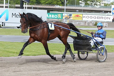 Jontte Boy ja Tuomas Korvenoja kuvassa lämmittelykierroksella Solvallan Elitloppet-päivänä.