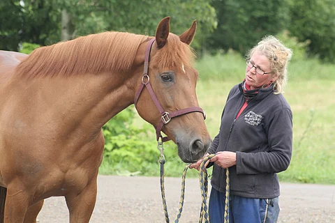 Mokomani ja Sanna Taimela.