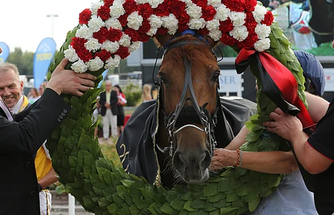 Viime vuoden kuningatar Mokomani taistelee tittelistä myös Joensuussa.