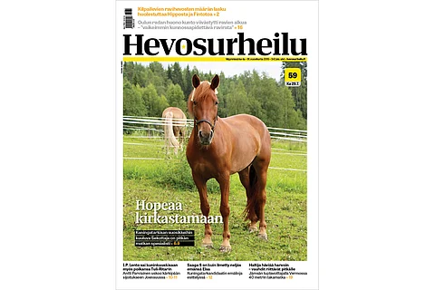 Koeajamatta hankittu Sekottaja lähikuvassa