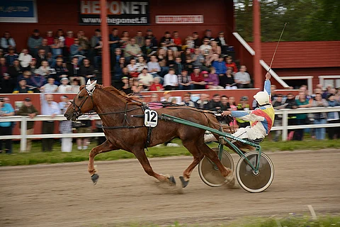 Jukka Halttunen tuuletti sydämensä pohjasta Haltijan voittoa. Kuva: Anna Karhila.