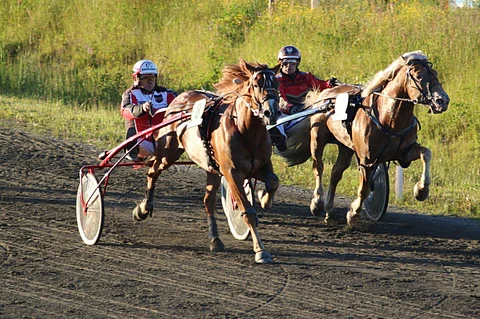 Tähen Topelius ja Pauli Raivio löivät kotiradan loppusuoralla urhean juoksun tehneen Tuomas Pakkasen ohjastaman Mega-Watin