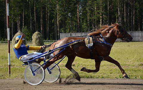 Terho Rautiainen tuuletti Suivikkaan voittoa Jämsässä. Kuva: Anna Karhila.
