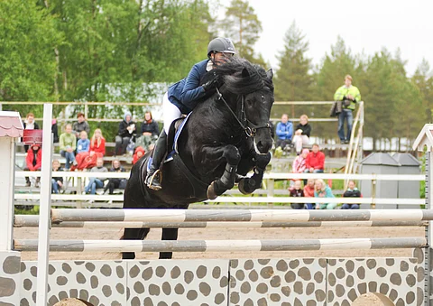 Knuutilan Veikko viime vuonna.