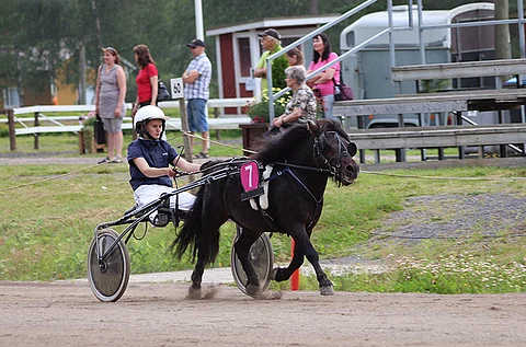 Julia Kiukas ja Keiju-Prinssi.