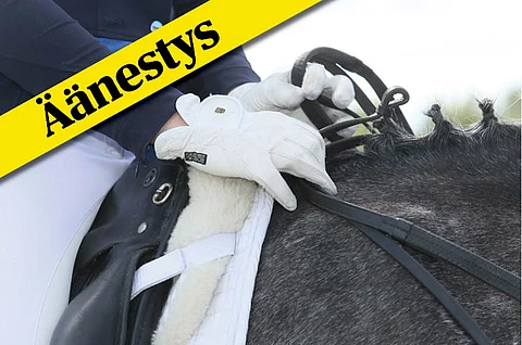 Äänestä kuukauden ratsuhevosta