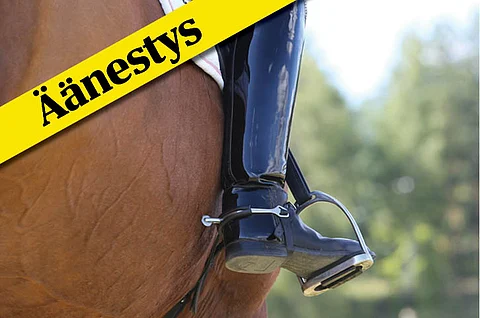 Äänestä joulukuun ratsuhevosta