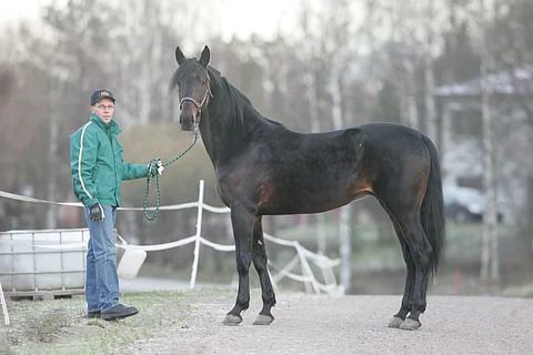 Ens Snapshot astui Suomessa kauden 2007 Janne Ihamuotilalla.