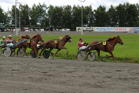 Numerolla seitsemän startannut Juntti-Jussi oli sunnuntain ravien ensimmäinen voittaja.