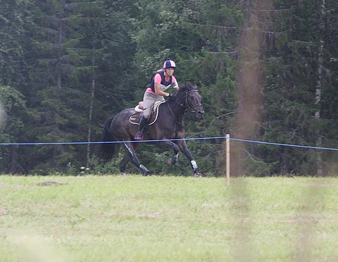 Sanna Siltakorpi on löytämässä vireen Lucky Accordilla.