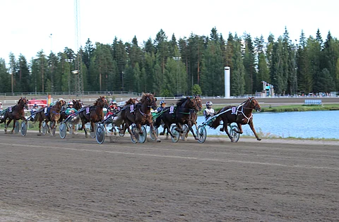 Mika Forssin ohjastama Vitter ei jättänyt jossiteltavaa suomenhevosten Derbyn finaalissa.
