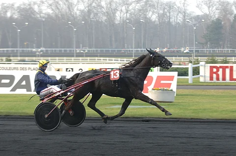 Ranskalainen Orlando Vici (kuvassa) sai isänä sunnuntaina arvovoiton, kun poika Glen Ord Superb vei Norjan Derbyn miljoonan kruunun ykköspalkinnon.