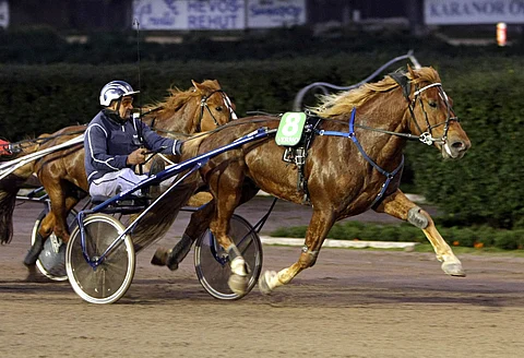 Tulinko jatkaa nousuaan suomenhevosten huipulle.