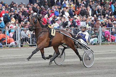 Editor Rapida pystyy lyömään suosikki Strait Ironin perjantaina Nikulassa.