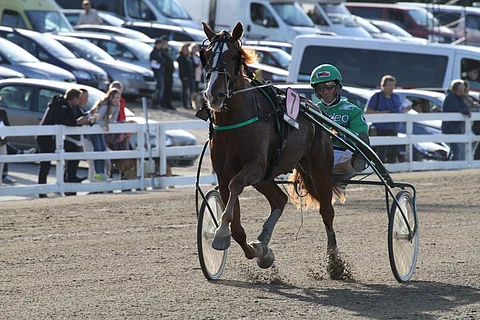 Vuonna 2014 Pertturi voitti Kriteriumin karsinnan ja tuli finaalissa toiseksi. Arkistokuva: Anu Leppänen