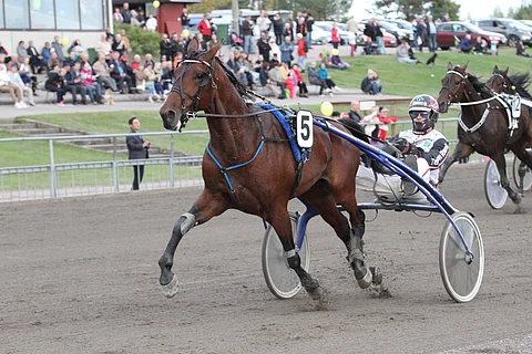 Victory Bonsai ja Mika Forss viime kesänä Lahdessa.