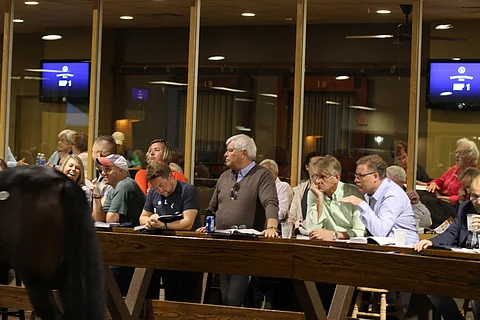 Roger Walmann silmä kovana hankkimassa uusia D'Oneja Lexingtonin vuotiashuutokaupasta.