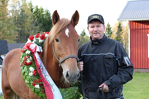 Kriteriumin valloittanut Tähen Toivomus ei selvinnyt finaaliin.