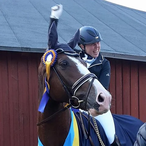 Ruotsissa vaikuttava suomalaisratsastaja Yvonne Österholm on äärimmäisen taitava nuorten hevosten laittaja. Kuvassa jo myyty Quarton.